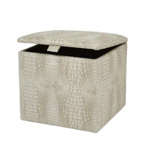 Allie Tan Storage Cube