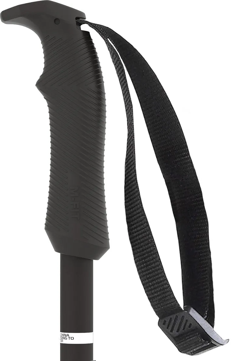 AMT Ski Pole