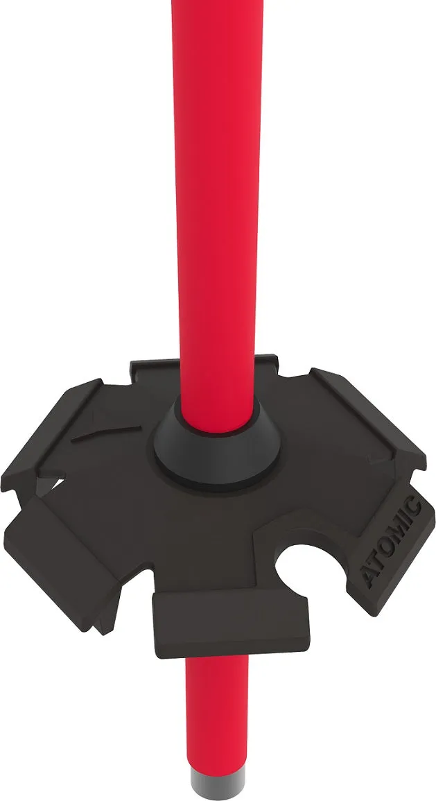 AMT Ski Pole