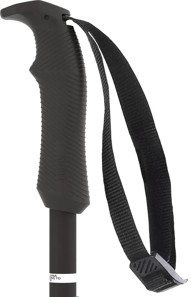 AMT Ski Pole