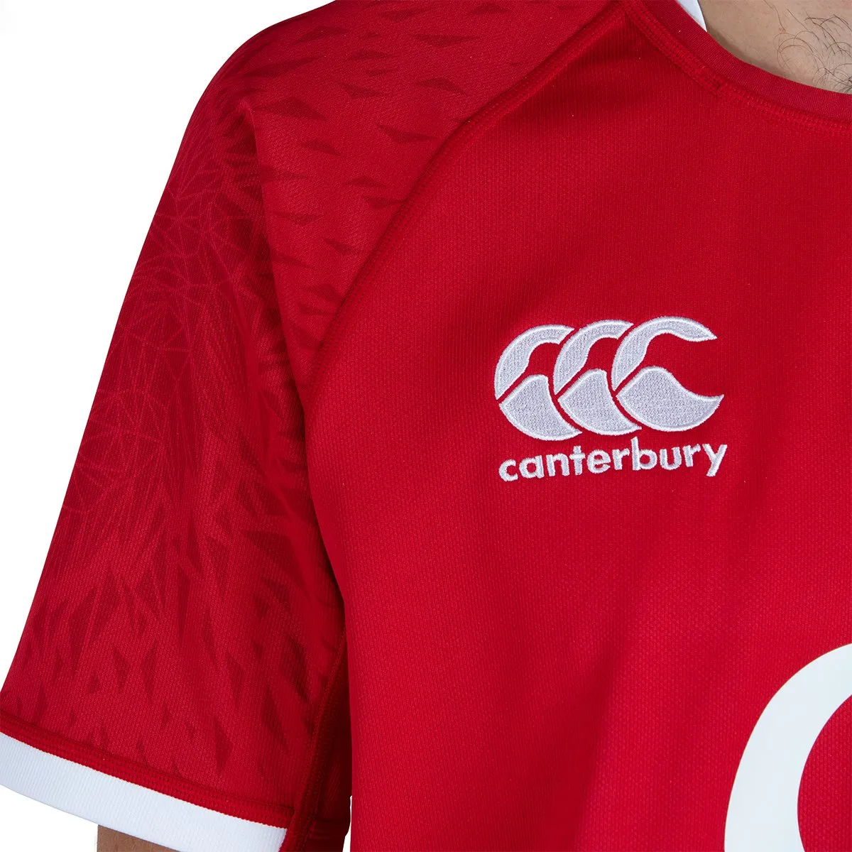 Canterbury Mens British & Irish Lions Pro Jersey
