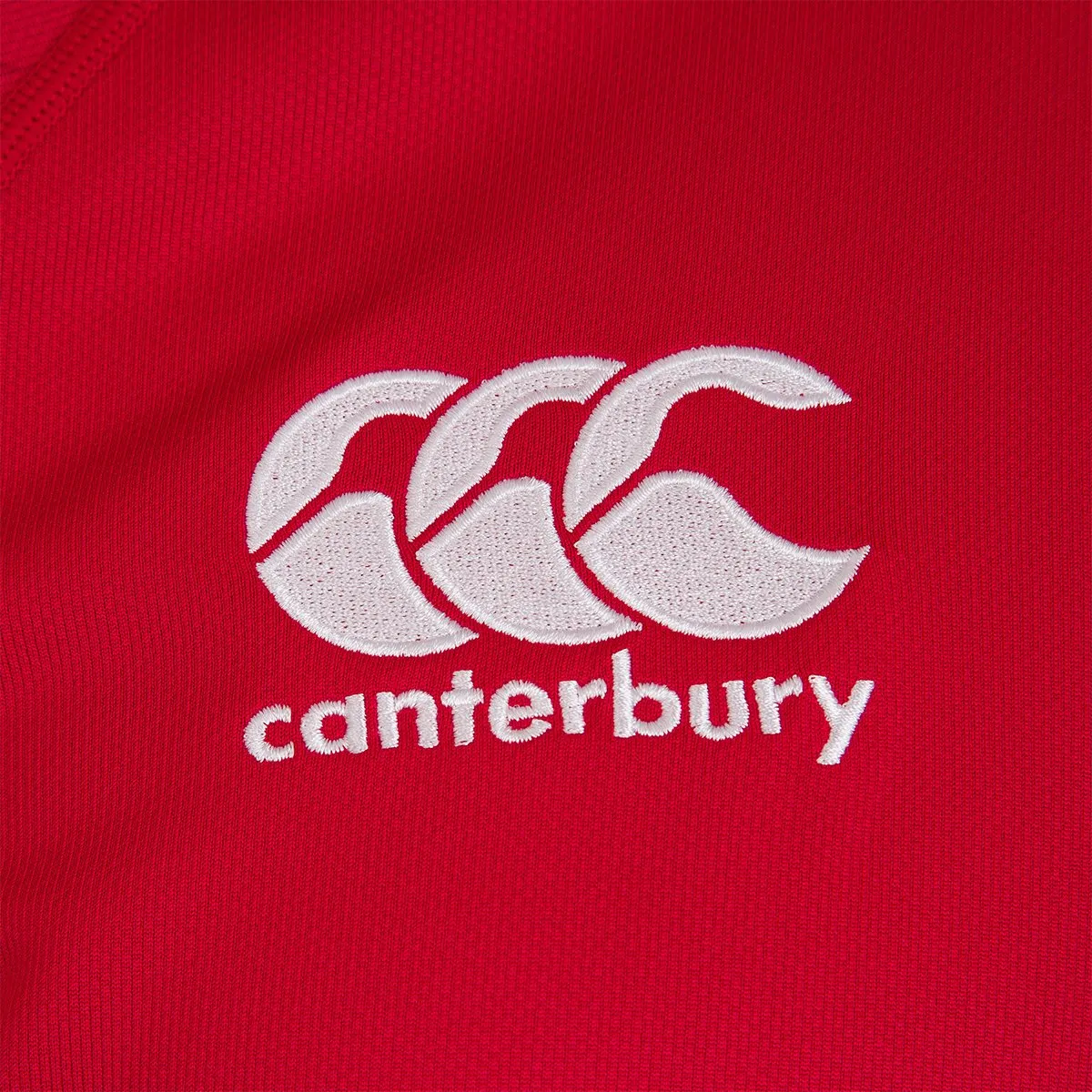 Canterbury Mens British & Irish Lions Pro Jersey
