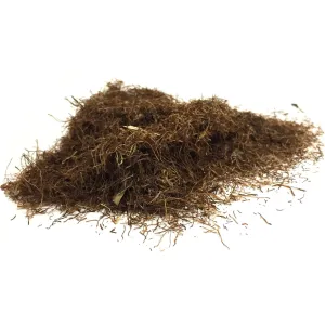 Cornsilk