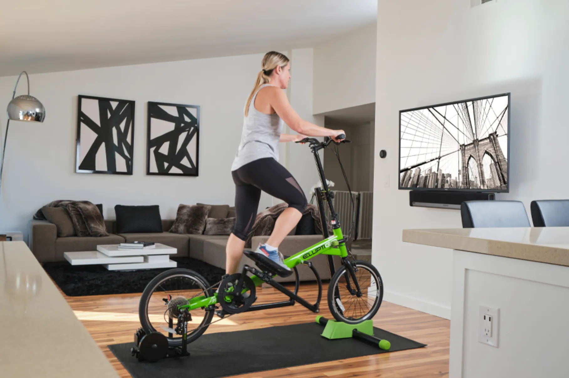 Elliptigo Fluid 365 Stationary Trainer