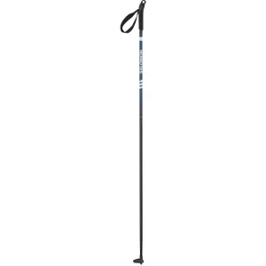 Escape Alu Ski Pole - L47024700 - Past Season