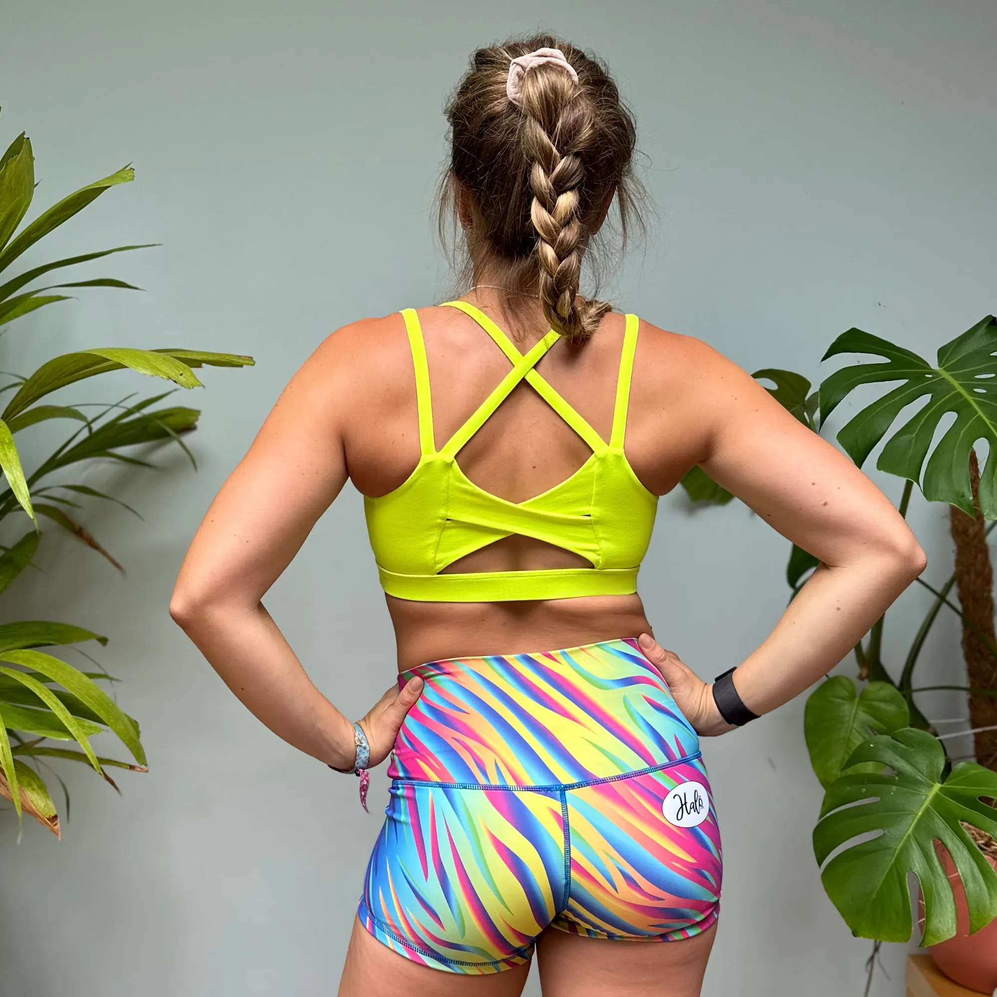 Halo Rainbow Zebra High Rise Roll Down Booty Shorts