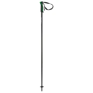 Head Frontside Green Ski Pole