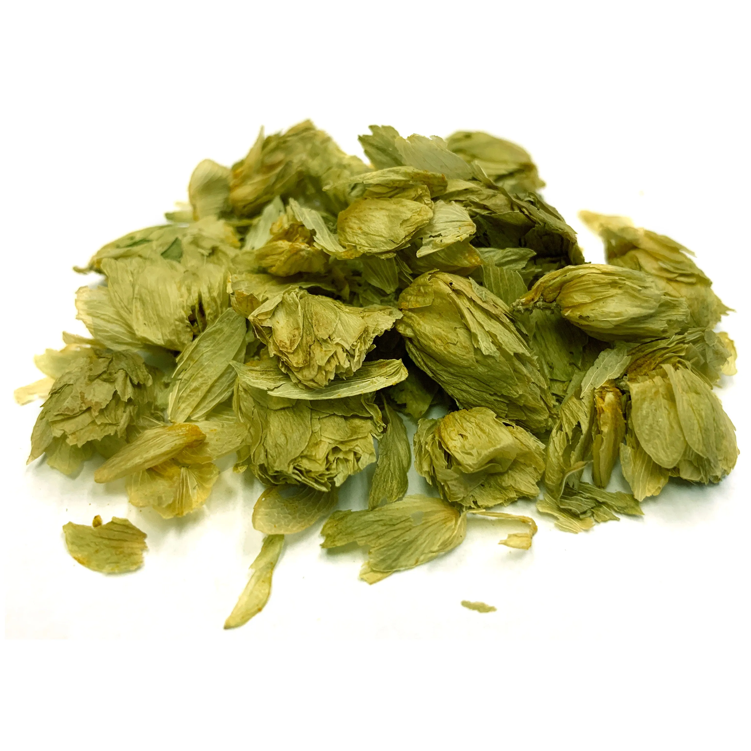 Hops Flower