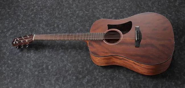 Ibanez AAD140-OPN