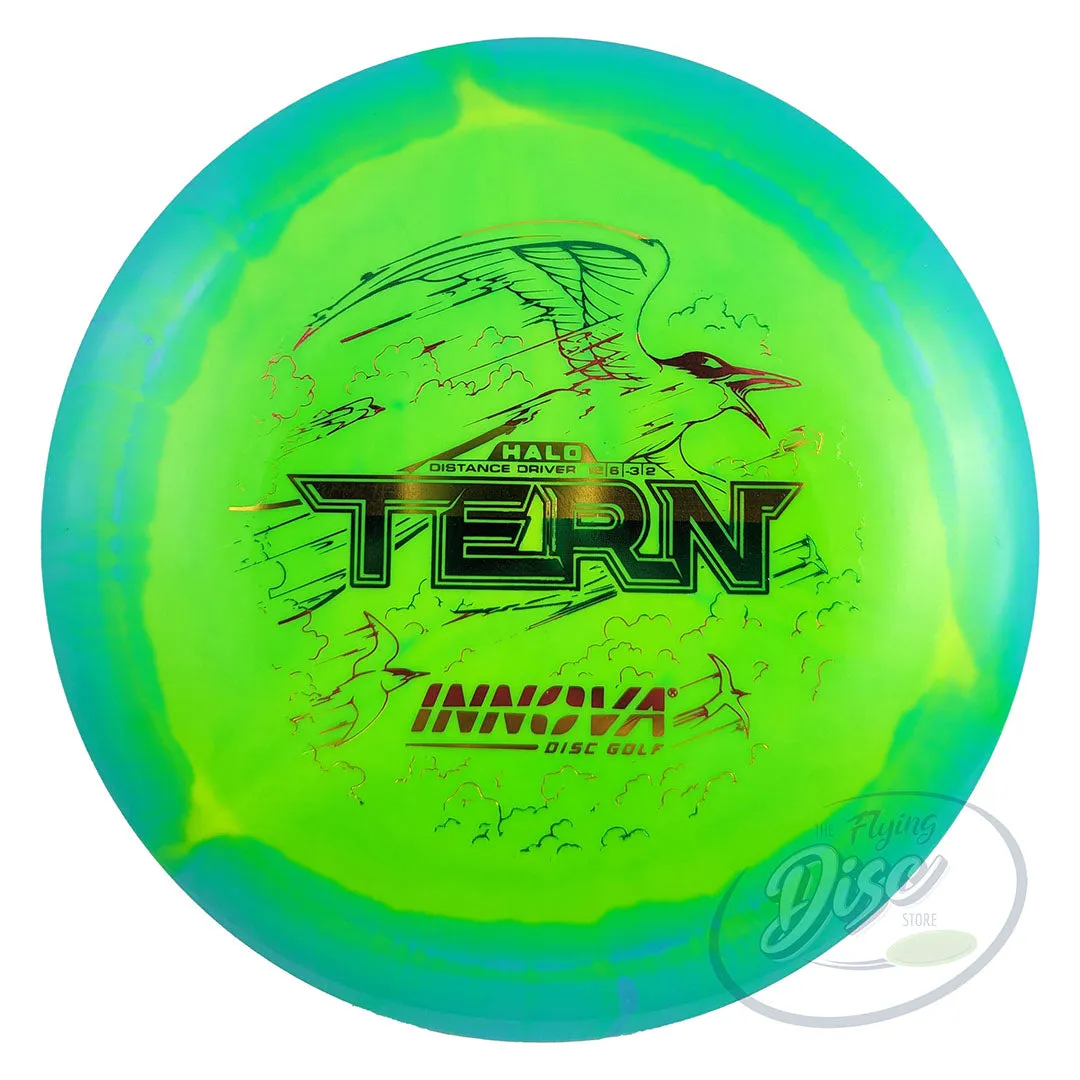 Innova Halo Star Tern