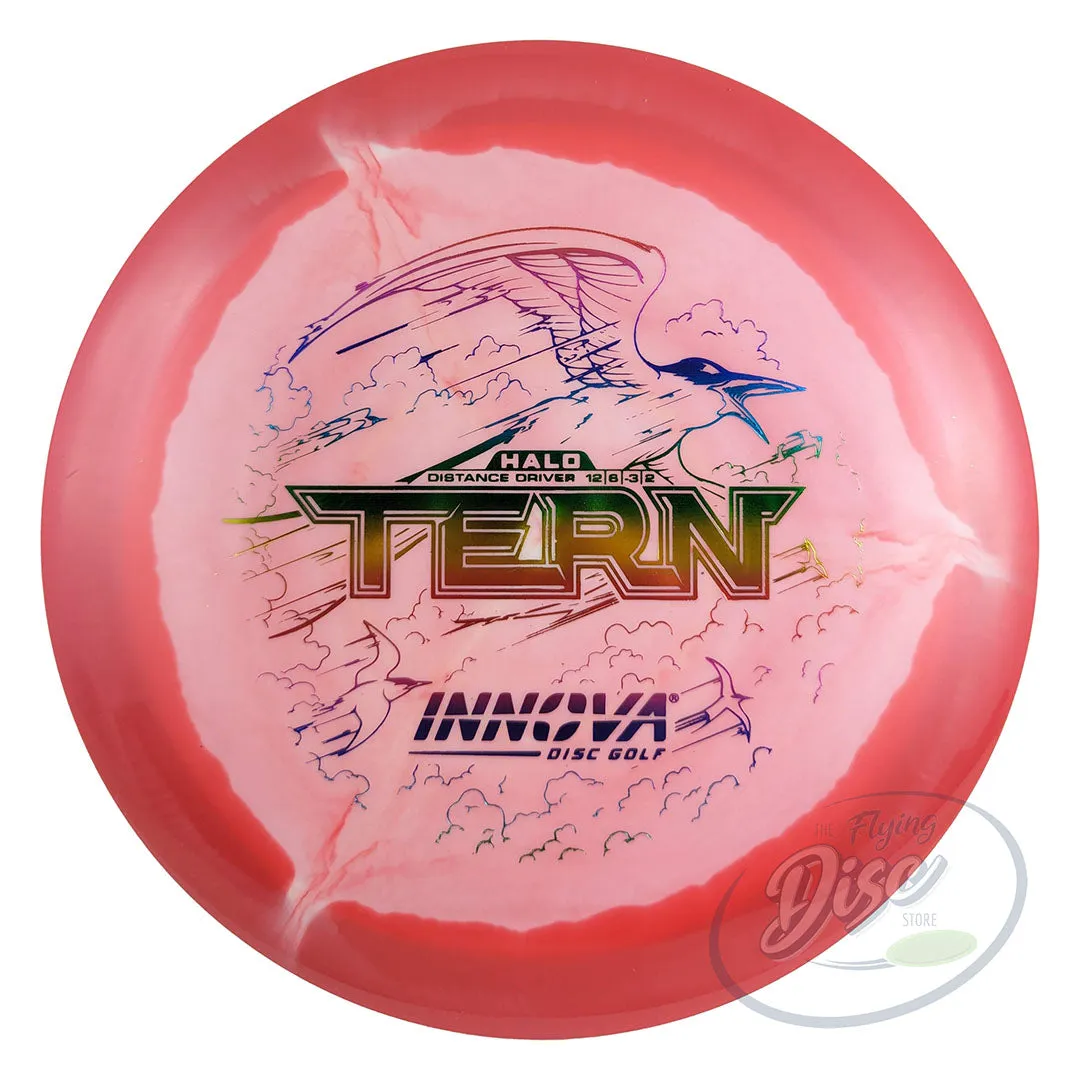 Innova Halo Star Tern