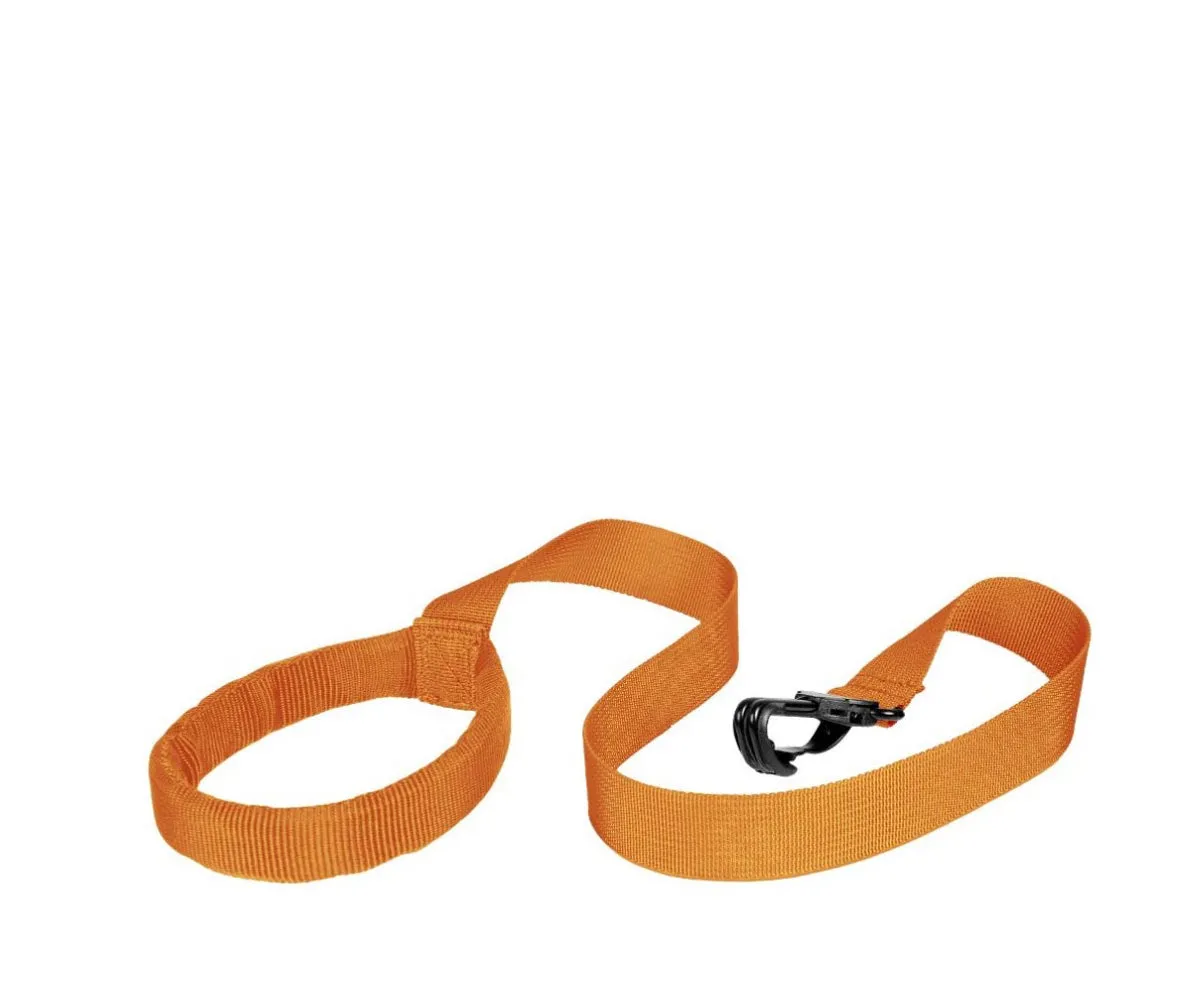 Littlelife Toddler Safety Harness L13610 Lion