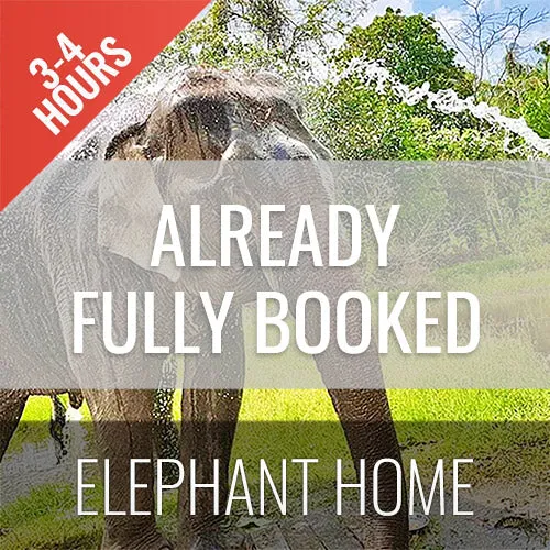 <b>**Hot Deal 30%**</b></br> Half Day Activity Elephant Home Shelter