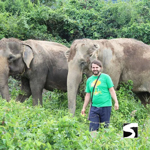 <b>**Hot Deal 30%**</b></br> Half Day Activity Elephant Home Shelter