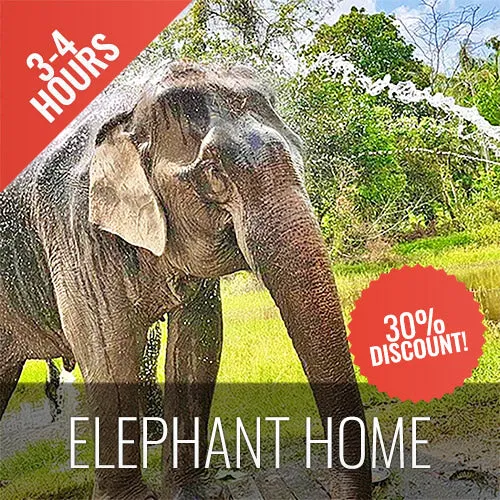 <b>**Hot Deal 30%**</b></br> Half Day Activity Elephant Home Shelter