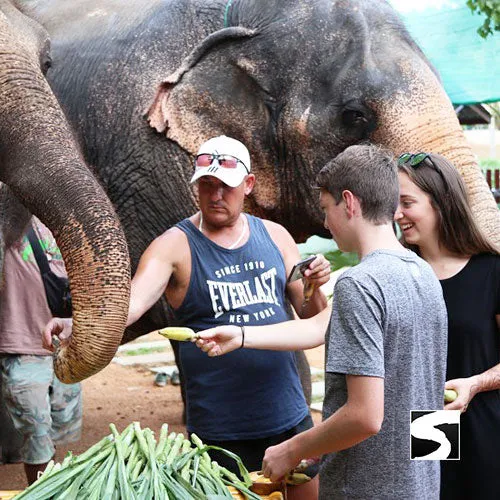 <b>**Hot Deal 30%**</b></br> Half Day Activity Elephant Home Shelter