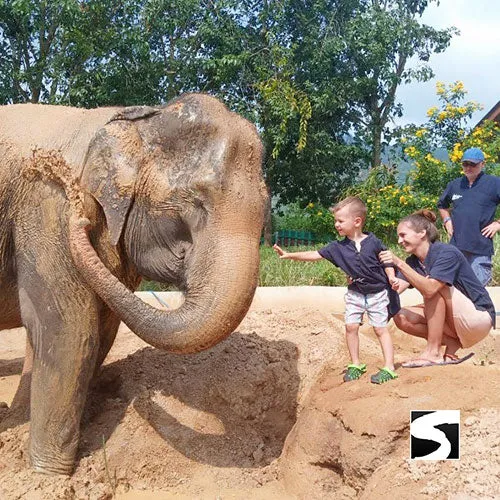 <b>**Hot Deal 30%**</b></br> Half Day Activity Elephant Home Shelter