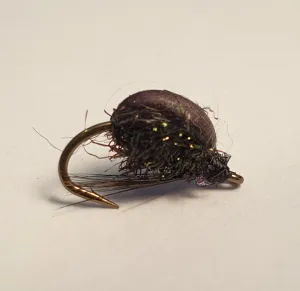Mick Hall's Black Water Beetle