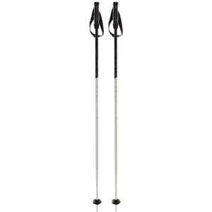 Phantastick III Ski Poles