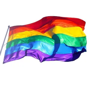 Pride LGBT Flag 90x150cm