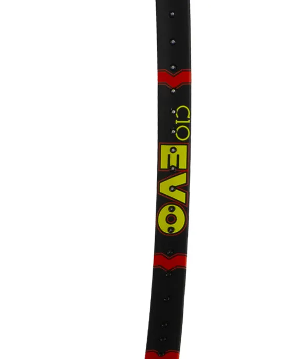 Raqueta Volkl C10 EVO 310g