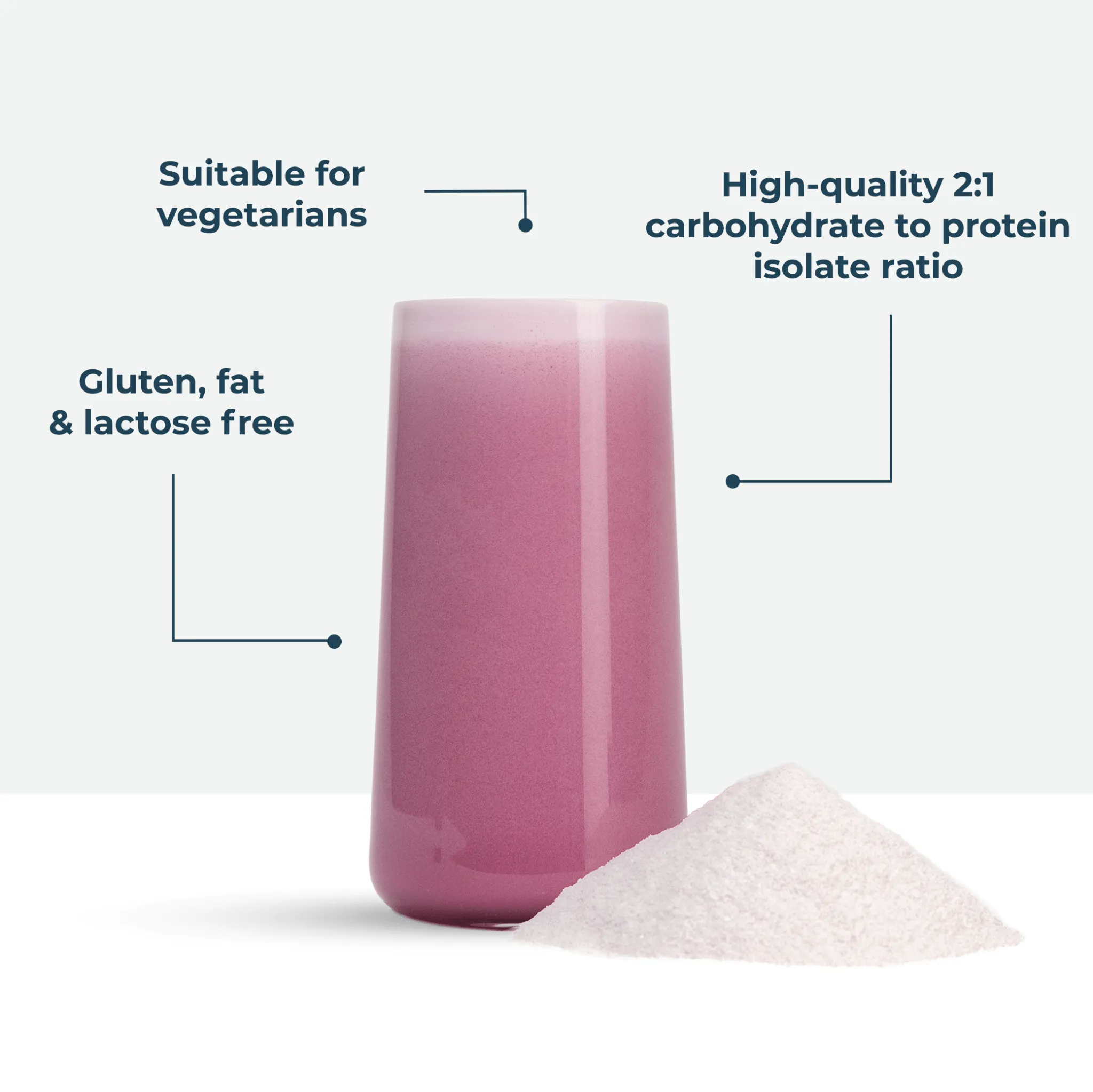 Recovery Wild Berry 1.5kg