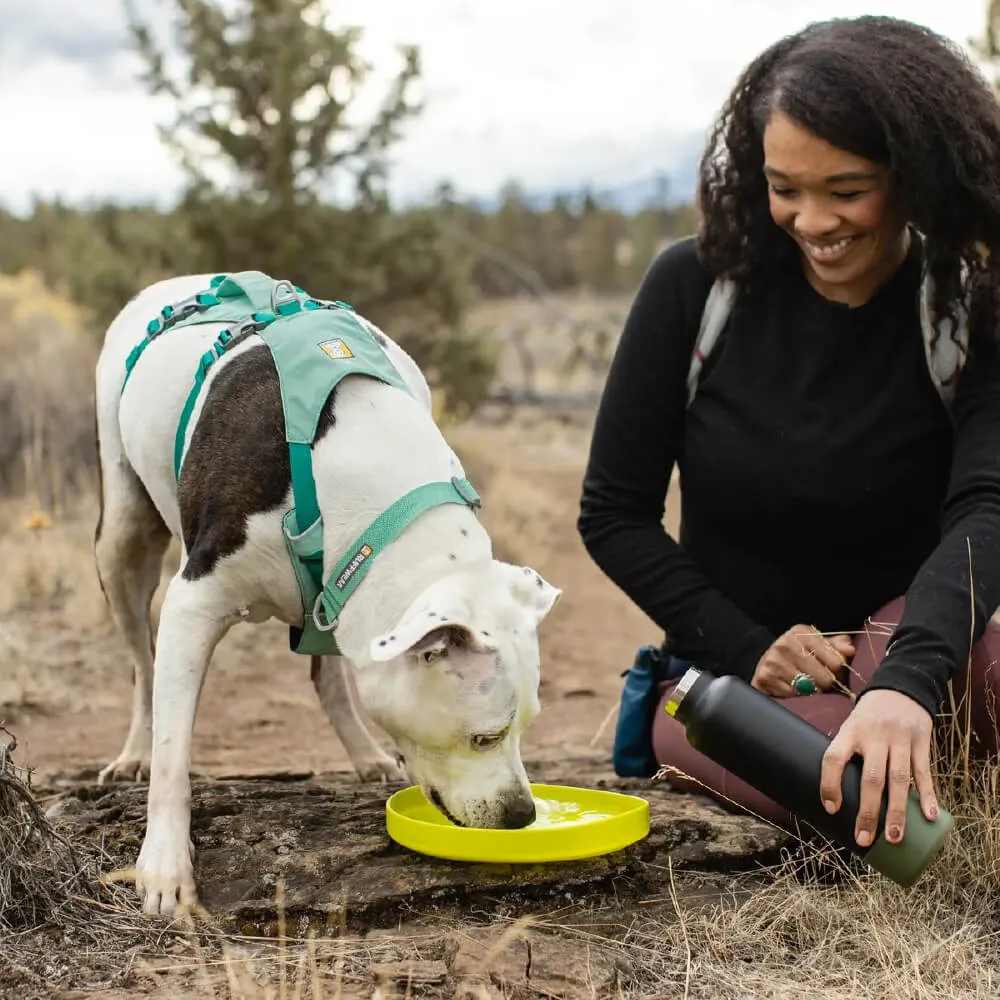 Ruffwear Camp Flyer™ Lightweight Flying Disc