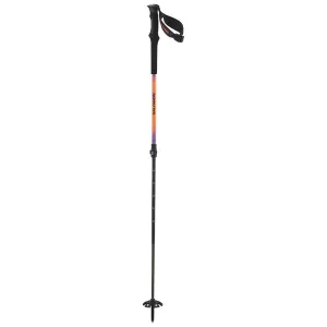 Salomon QST Carbon S3 Ski Poles Adult 2025