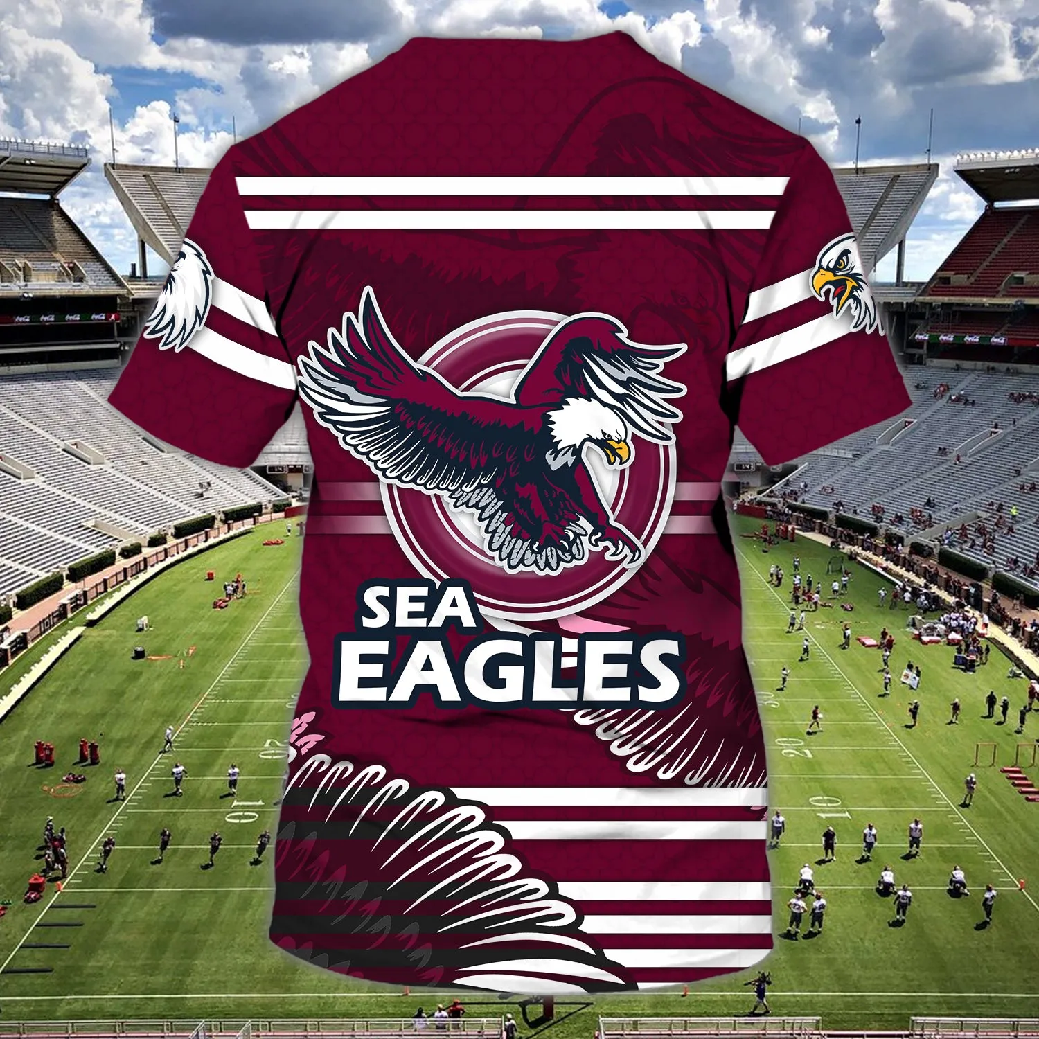 Sea Eagles - Personalized Name 3D Tshirt01 - NBTT