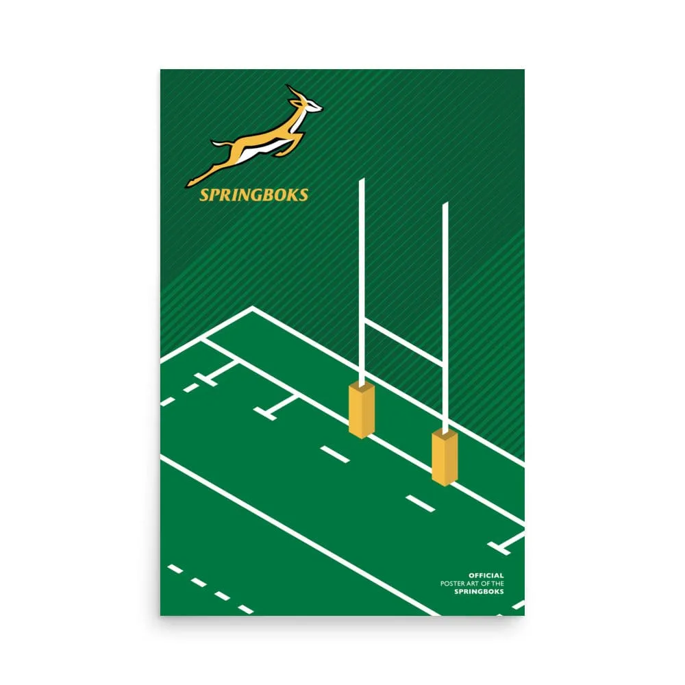 Springboks Pitch Poster