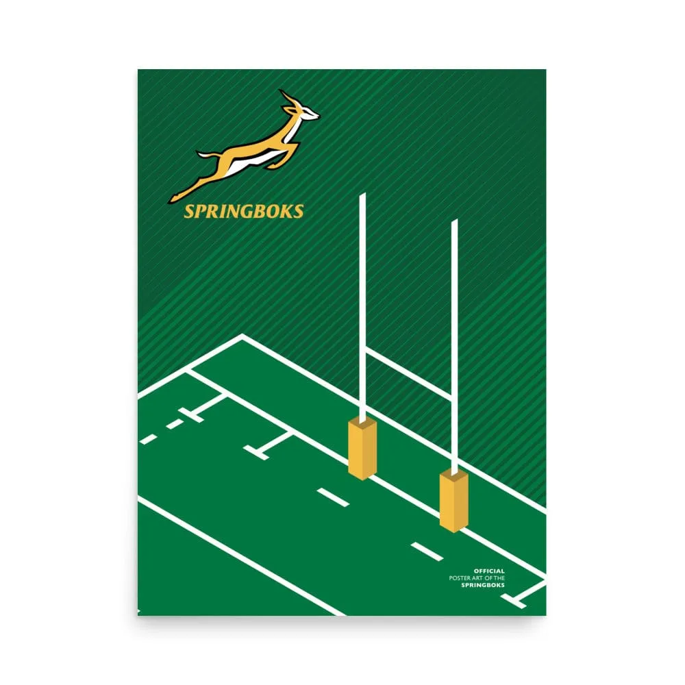 Springboks Pitch Poster