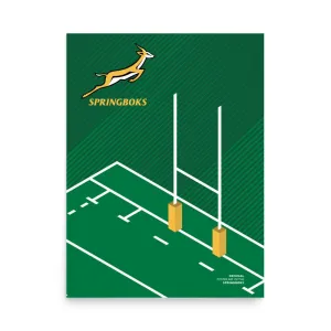 Springboks Pitch Poster