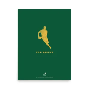 Springboks Player Silhouette Poster