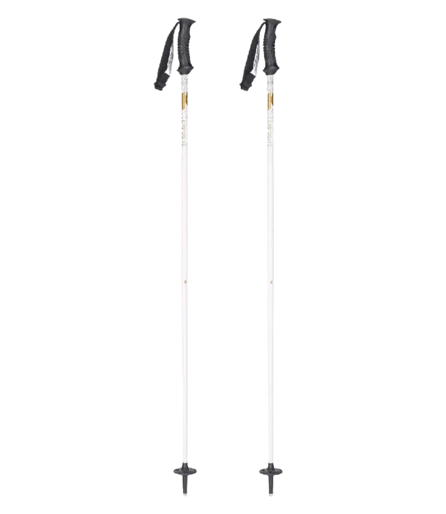 Style Composite Ski Poles