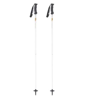 Style Composite Ski Poles