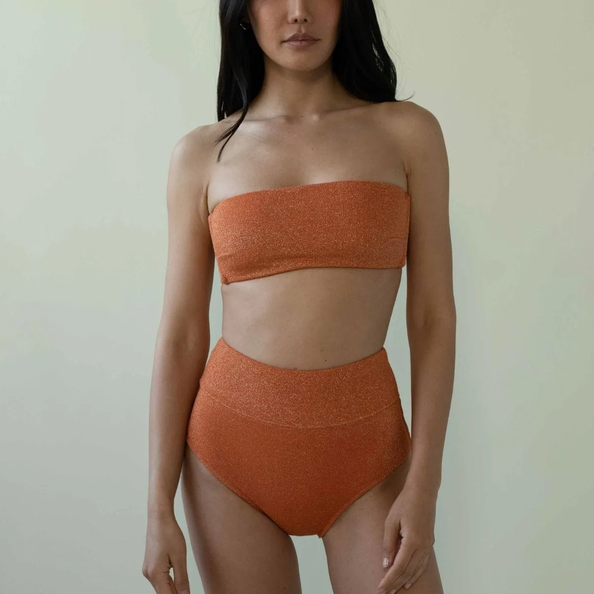 Terra Sparkle Added Coverage High Rise Bikini Bottom