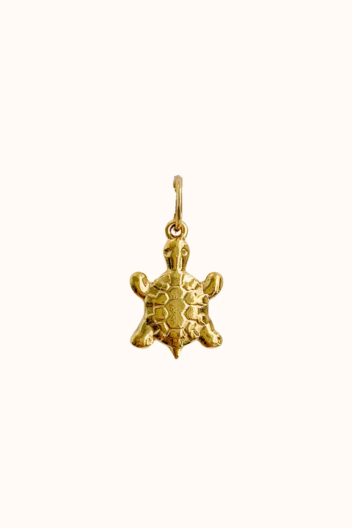 Tortoise Charm (Stainless Steel)