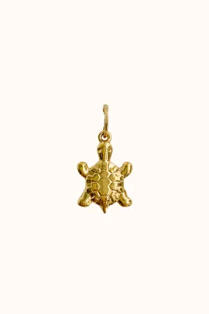 Tortoise Charm (Stainless Steel)