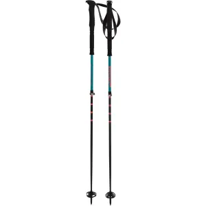 Touristick AC Ski Poles