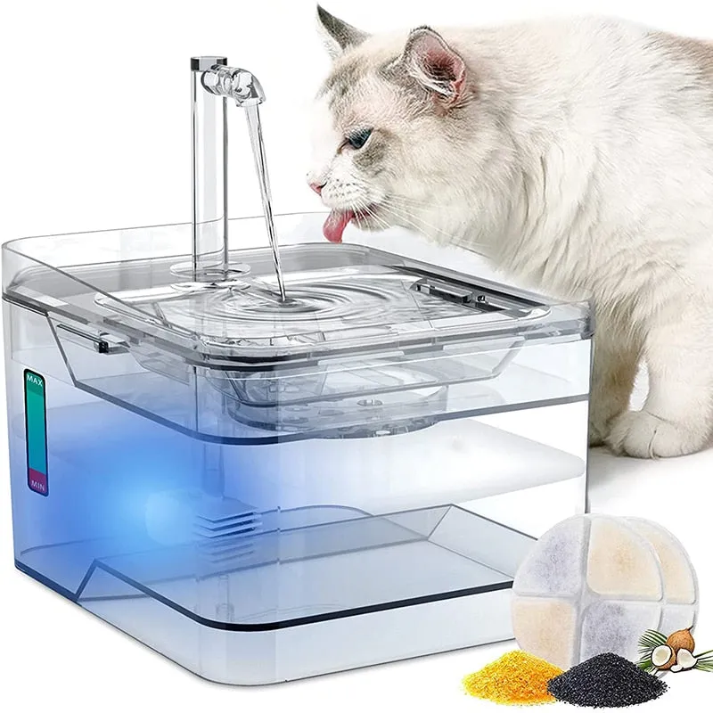 Transparent Cat Water Fountain