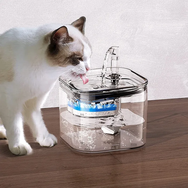 Transparent Cat Water Fountain
