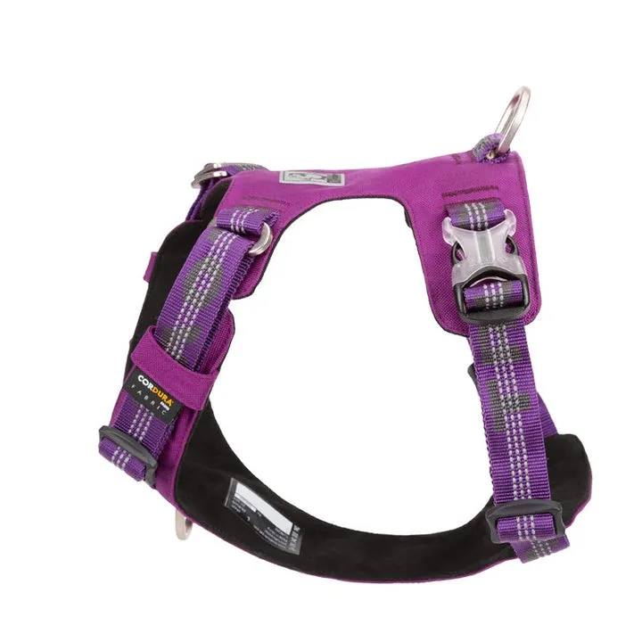 True Love Lightweight Reflective Harness - Purple, L