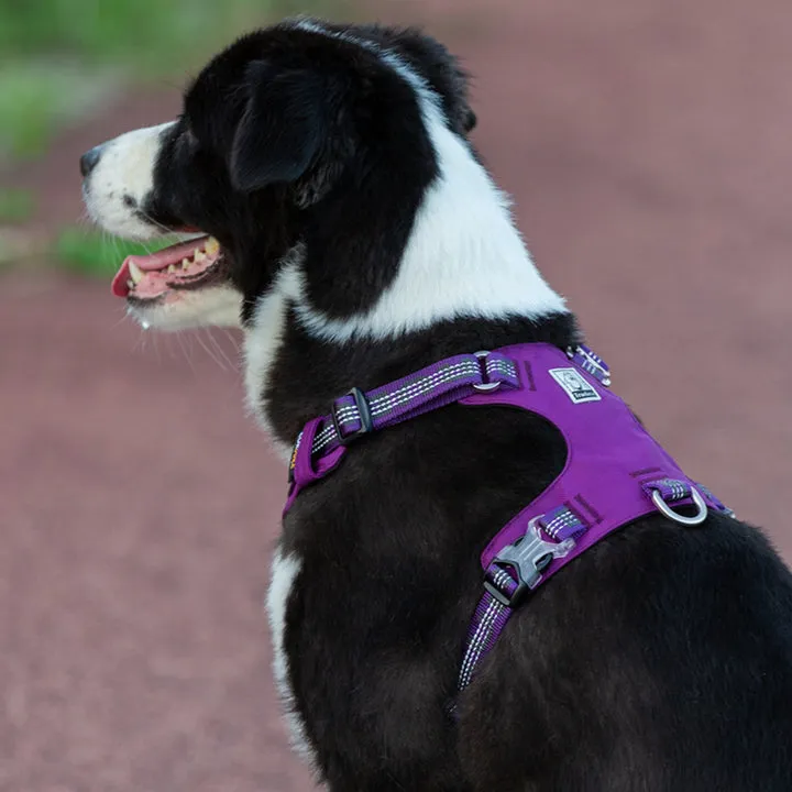 True Love Lightweight Reflective Harness - Purple, L