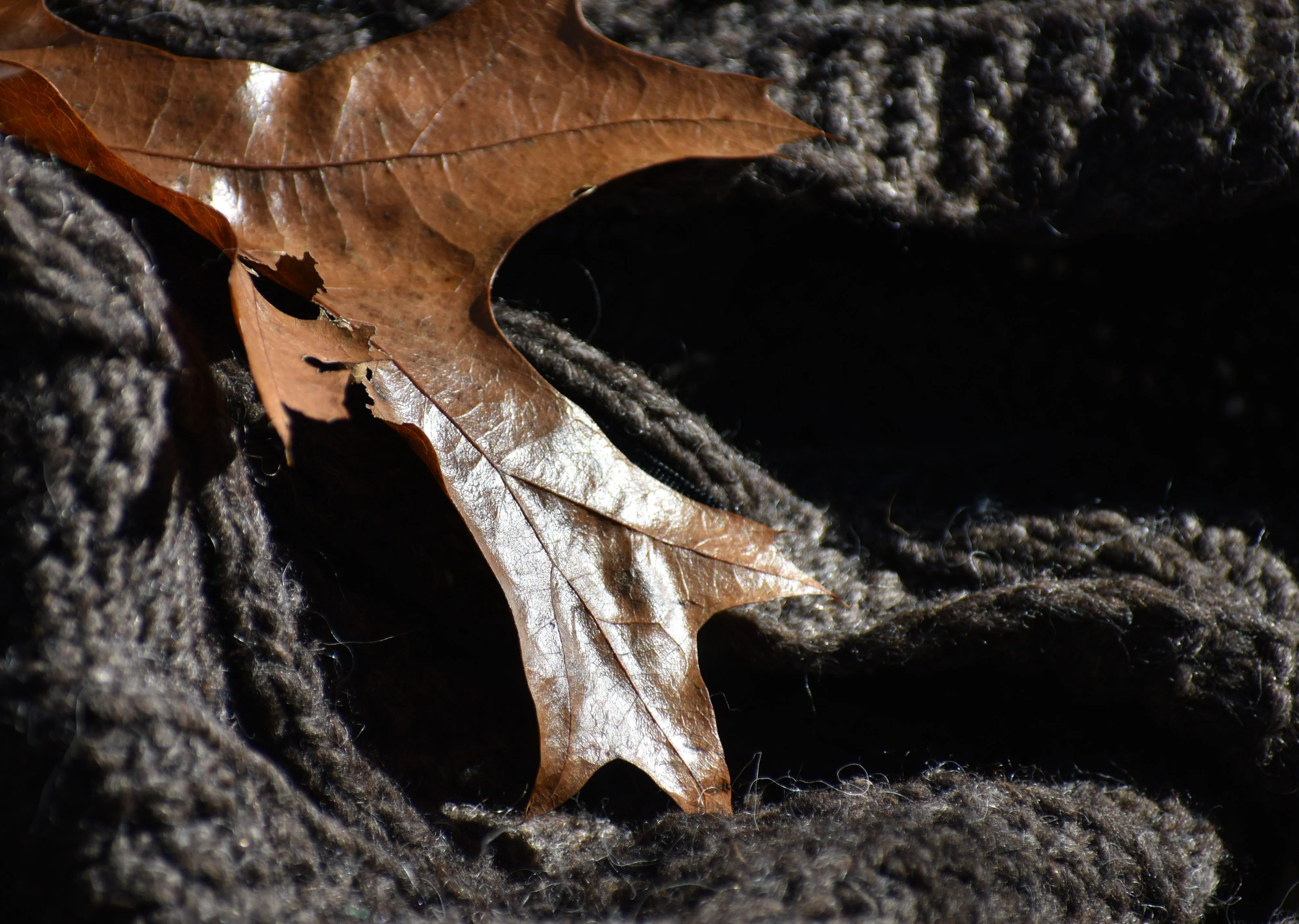 WAXED LEAVES  - Natural Solid Perfume - Base Layers - LIMITED ED.