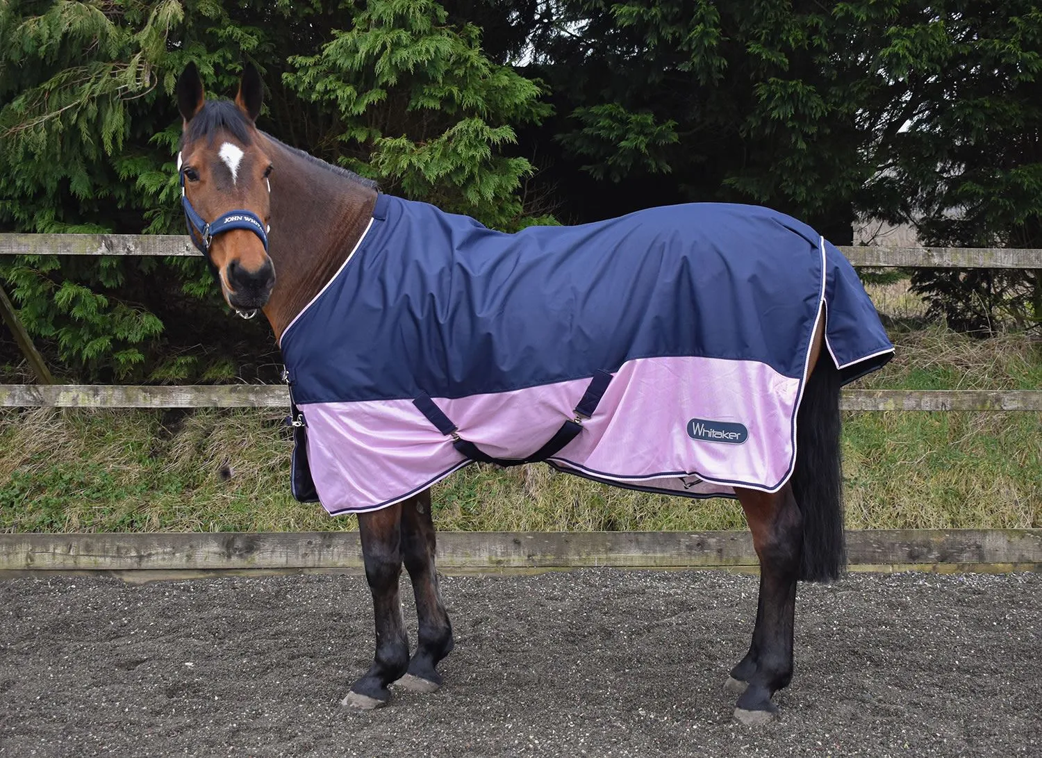 Whitaker Water Resistant Fly Rug Fairburn