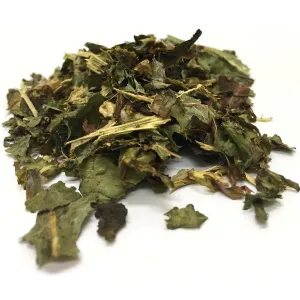 Wild Lettuce Leaf