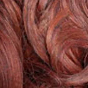 Zury Sis The Dream Lace Front Wig - DR LACE H POLO - Unbeatable